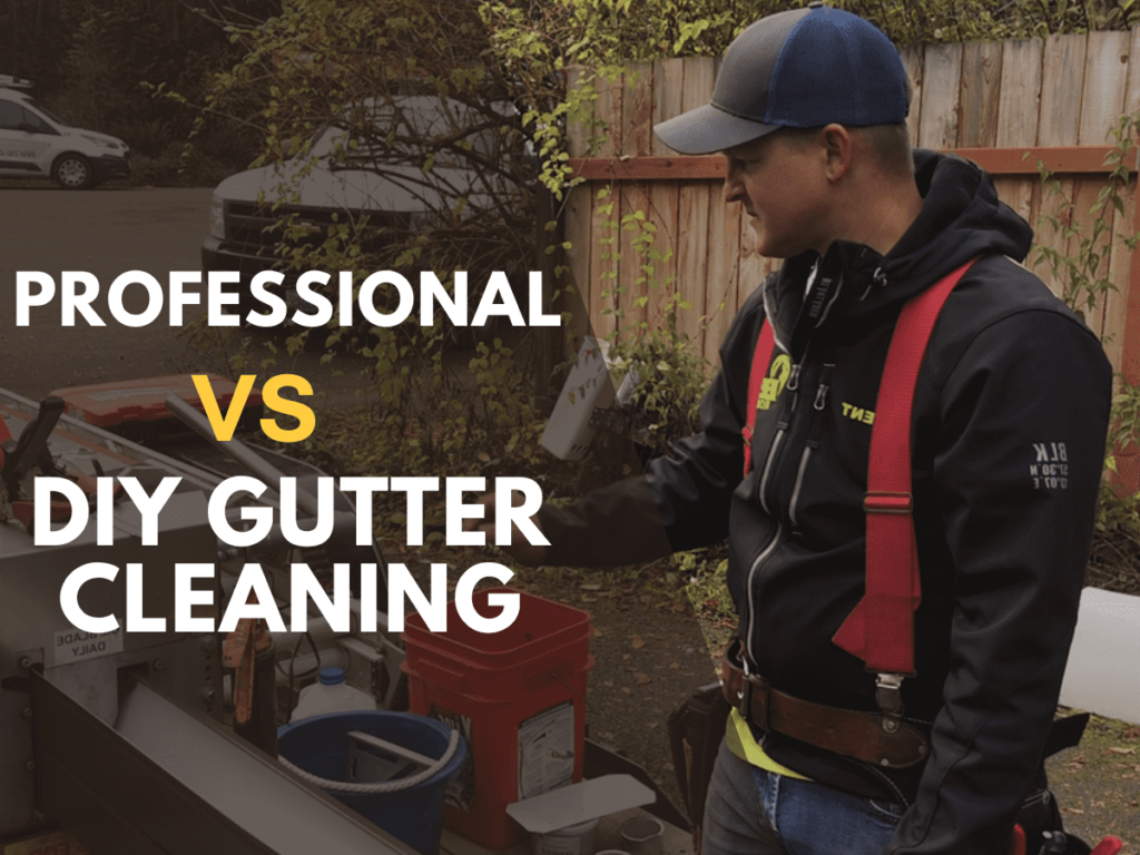 Professional vs DIY Gutter cleaning