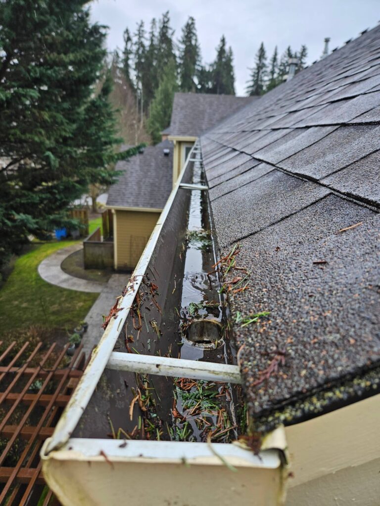 What Time of Year Should You Get Your Gutters Cleaned?