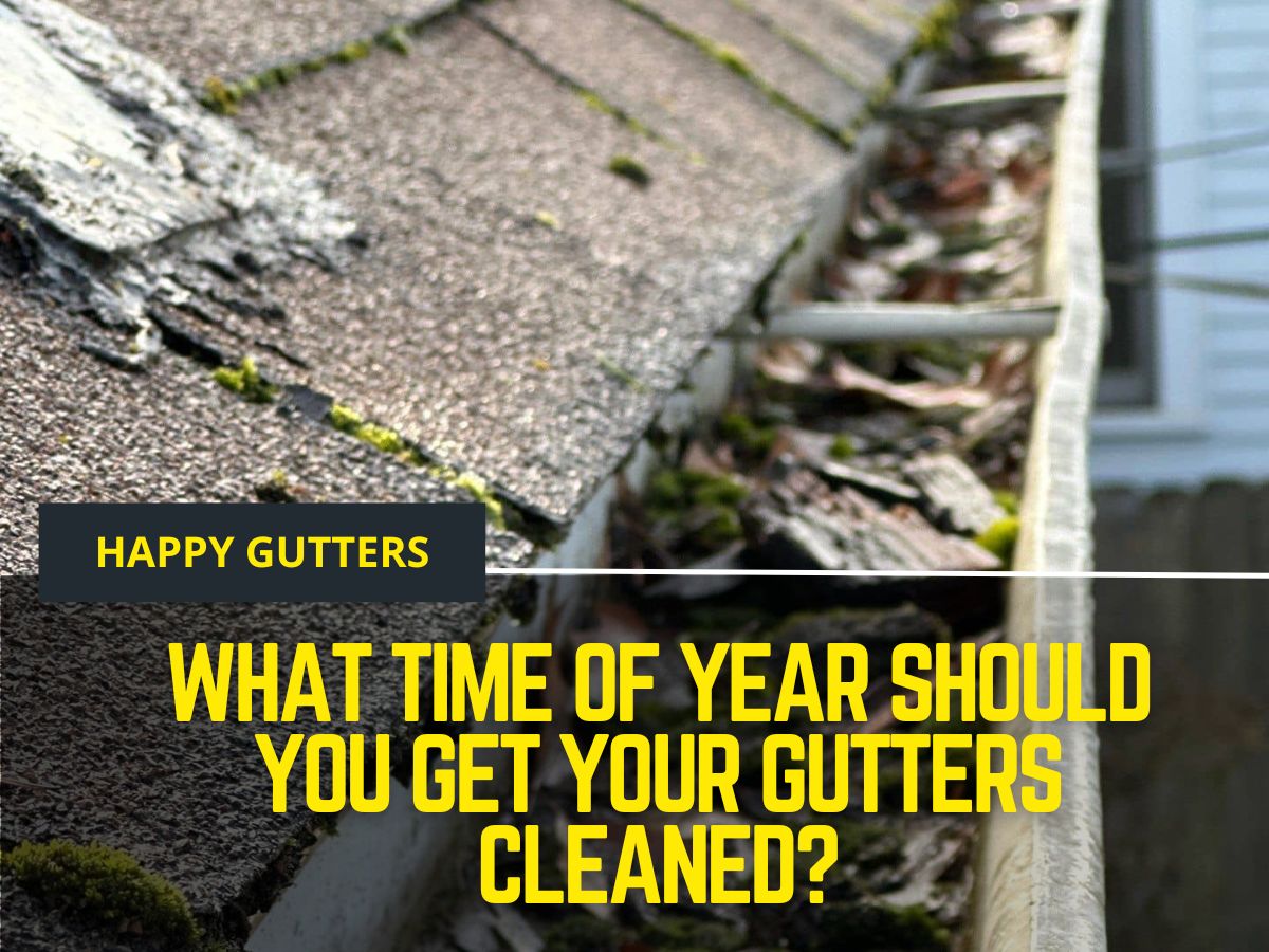 what time of year should you get your gutters cleaned